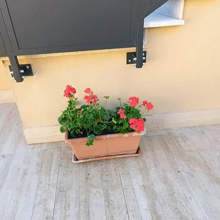 Garden House Σπίτι διακοπών *