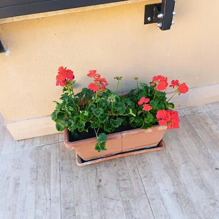 Garden House بيت للعطل روما